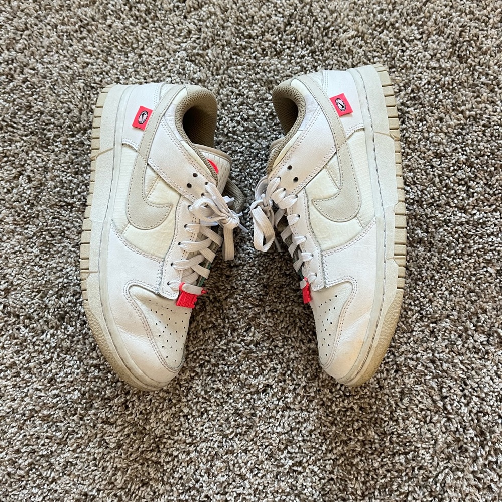 Nike Dunk Low Rise